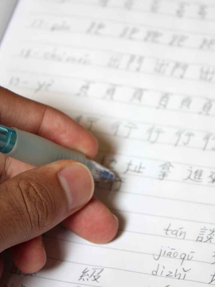 modern language writing